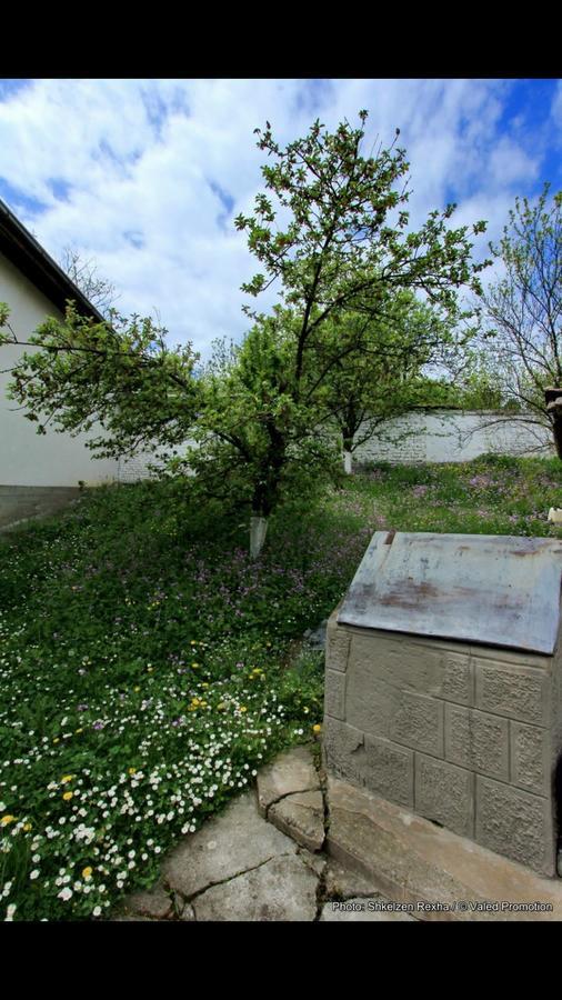 Bed and Breakfast Bujtina Zhaveli Gjakova Экстерьер фото